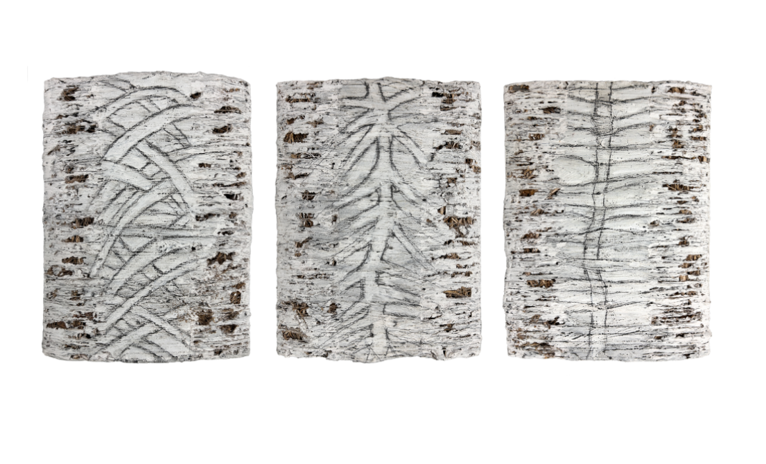 Desenho-Vegetal-anos-90-Maria-Jose-Oliveira-residuos-vegetais-papel-tinta-acrilica-Galeria-Graca-Brandao