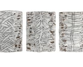 Desenho-Vegetal-Anos-90-Maria-Jose-Oliveira-Residuos-Vegetais-Papel-Tinta-Acrilica-Galeria-Graca-Brandao